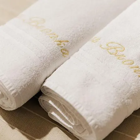 U Bronka Bed and breakfast 3*